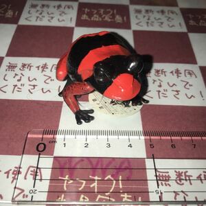 ◆獲後未使用◆新品◆非売品◆【リアルカエルストラップ 】赤×黒　リマニーヤドクガエル