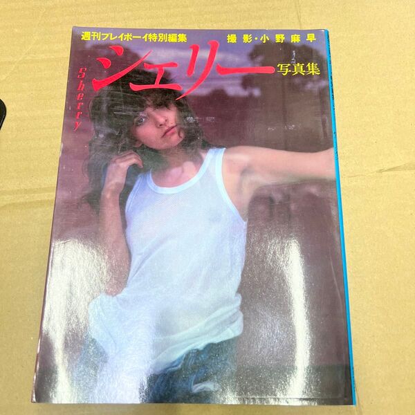 週刊プレイボーイ特別編集 シェリー 写真集