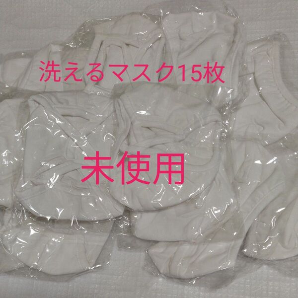 未使用 洗えるマスク 花粉症 PM2.5 介護 スポーツ 風邪予防 乾燥対策 普通サイズ15枚 クーポン