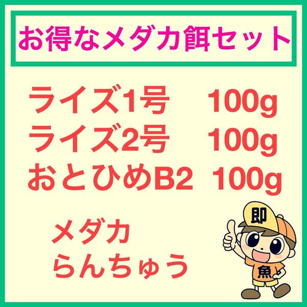 お得なメダカ餌3点セット おとひめB2 ライズ1号 2号 各100gづつ合計300g