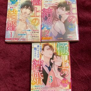 TL小説 「極上の結婚」3冊セット