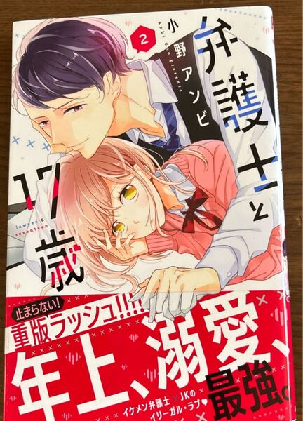 弁護士と17歳2巻