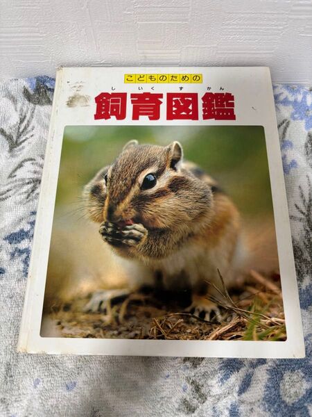 世界文化社 こどものための飼育図鑑
