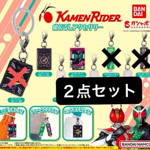 2点セット ライダーカード ライダーパス 仮面ライダーシリーズ めじるしアクセサリー