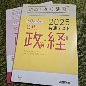 2025新課程 公共 政治・経済 共通テスト対策問題集 10回分