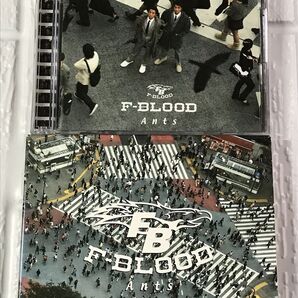 F-BLOOD Ants CD DVD