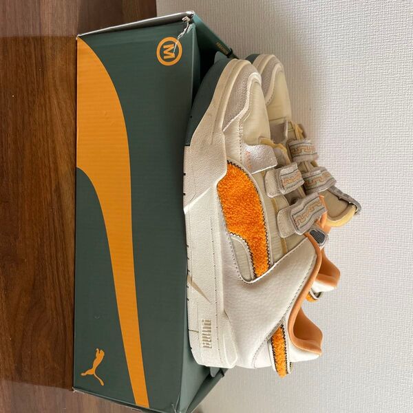 Puma slipstream market