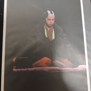 宝塚歌劇団 写真