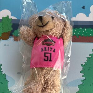 秋田ノーザンハピネッツ ユニベア 古川孝敏