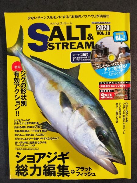 SALT&STREAM vol.19 2020