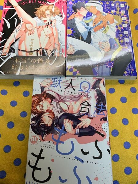 BLコミック3冊●他商品と入れ替え可能