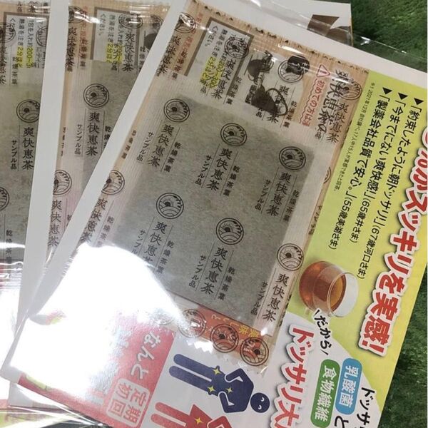 爽快恵茶 サンプル 5包