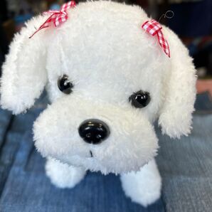 犬のぬいぐるみ 白