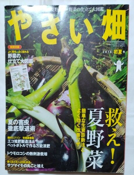 野菜畑 2016 初夏号