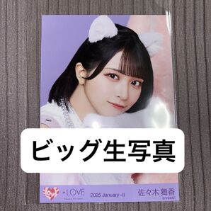 イコールラブ イコラブ ビッグ生写真 佐々木舞香 猫衣装