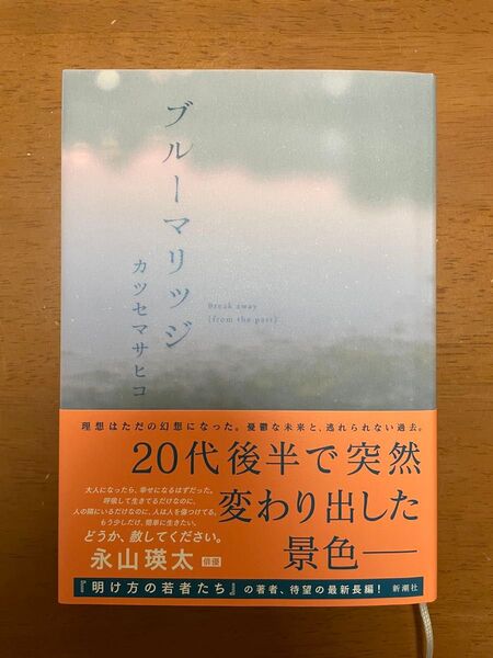ブルーマリッジ 著者 カツセマサヒコ