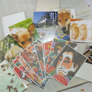 ポストカード兎に角いっぱい