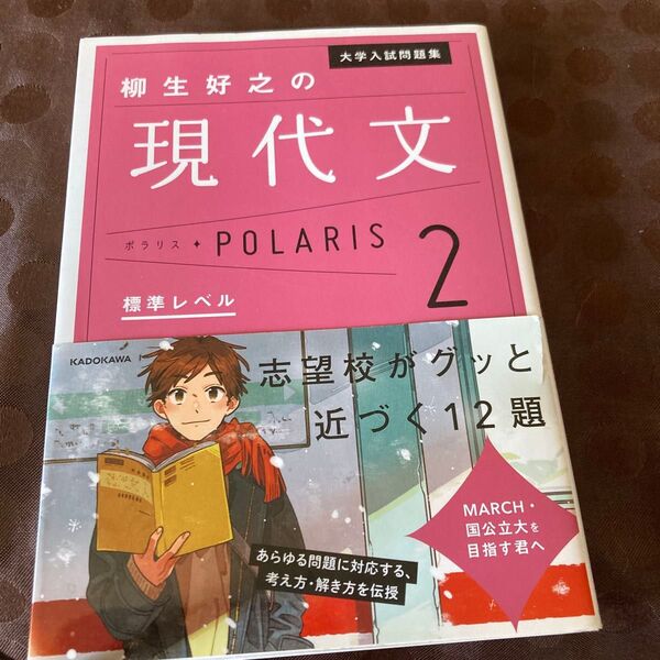 大学入試問題集柳生好之の現代文ポラリス 2 (大学入試問題集) 柳生好之/著