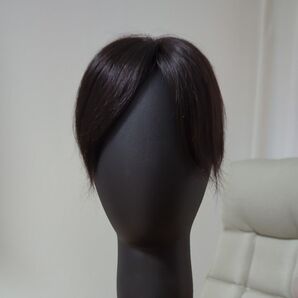 人毛100% 頭頂部 ウィッグ ポイント ヘアピース