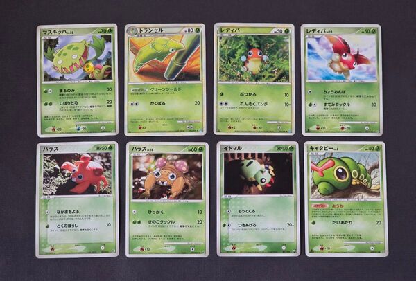 マスキッパ トランセル レディバ パラス イトマル キャタピー ポケモンカード 8枚
