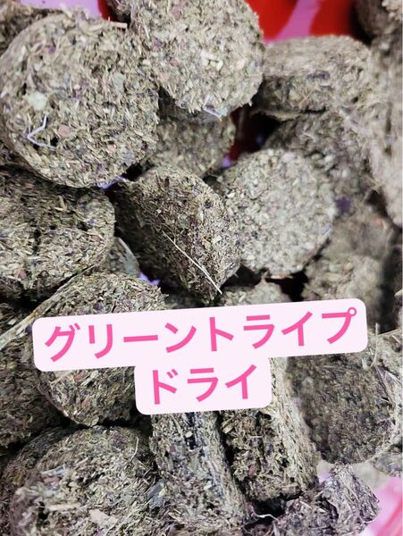 【愛犬の健康に】グリーントライプ ドライミニ 12個入り