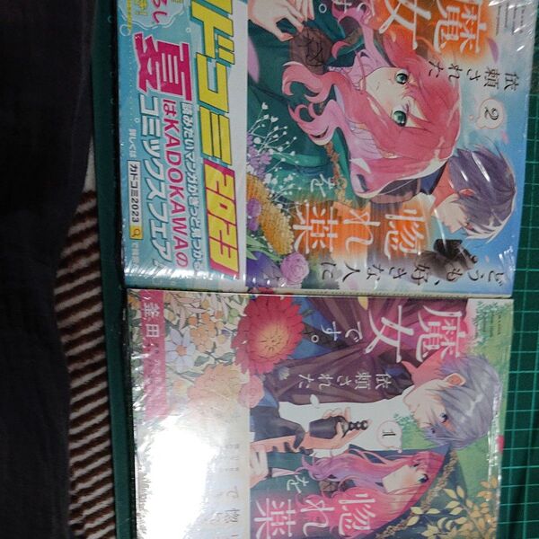 2冊セット どうも、好きな人に惚れ薬を依頼された魔女です。 1 2 (フロースコミック) 釜田/漫画 六つ花えいこ/原作 vie