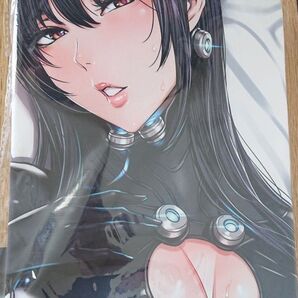 【正規品・未開封】MAIDOLL 飛燕 C95 GANTZ ガンツ レイカ 抱き枕カバー