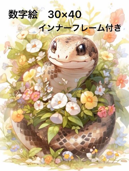数字塗り絵 木枠付き 数字絵 デジタル絵 大人の塗り絵 ペイントバイナンバー へび 30×40