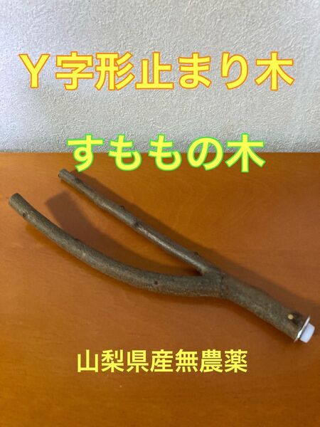 止まり木 Y字形 小鳥 すももの木 無農薬 国産天然木 ペット ハンドメイド