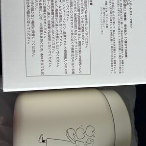GREEN SPOON(グリーンスプーン)スープジャー