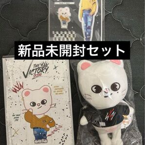 【新品未開封】ヒョンジン ぬいぐるみ+服+アクスタ セット