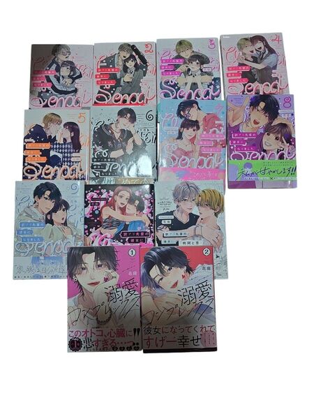 「訳アリ先輩の彼女になりました 1~9」