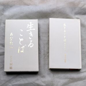 生きることば あなたへ 瀬戸内寂聴/著