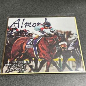 アーモンドアイ ジャパンカップ ルメール 2020年・秋 GⅠ・Ⅱ・Ⅲセレクション トレーティングmini色紙 競馬 JRA