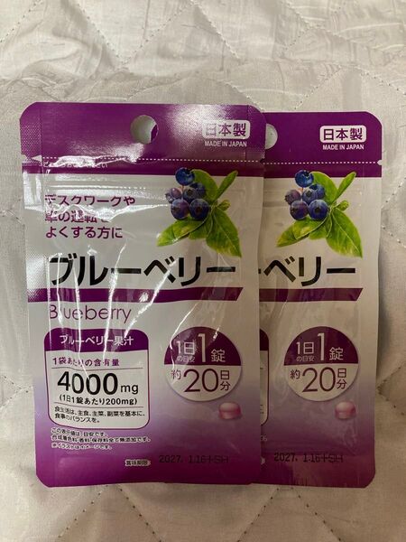 ブルーベリー 栄養補助食品 20日分×2袋