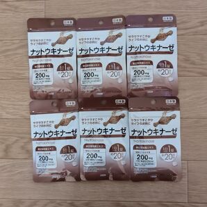 ナットウキナーゼ サプリメント 6袋 日本製