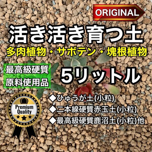 多肉植物の土 サボテンの土 多肉植物用土 塊根植物の土オリジナル 5リットル