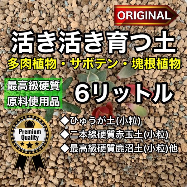 多肉植物の土 サボテンの土 多肉植物用土 塊根植物の土 オリジナル 6リットル