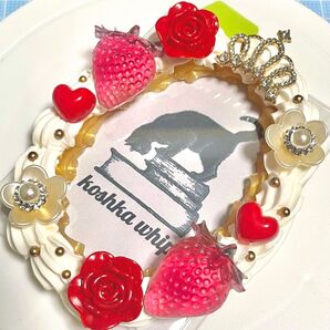 #49 ホイップデコ トレカケース