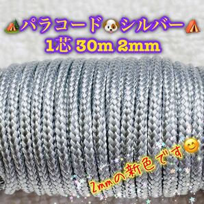 パラコード 1芯 30m 2mm シルバー 手芸とアウトドアなど用