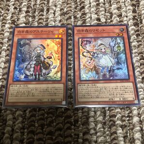 【遊戯王】☆ 白き森のアステーリャ & 白き森のリゼット スーパーレア セット