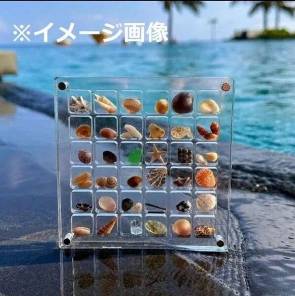 アクリルディスプレイケース ジュエリー 貝殻 標本 コレクション 宝石 ストーン 6x6=36