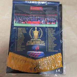 FC東京 ルヴァン杯 優勝記念 ペナント