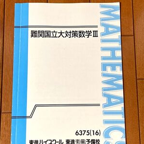難関国立大対策 数学Ⅲ 東進 学習テキスト(書き込み無し)