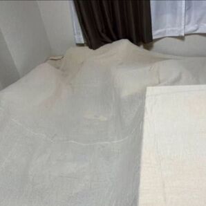 300円+クーポン割!コストコのマルチカバー:300cm×220cm/埃除けや突然の来客時の目隠し等に!/大型コレクションカバー