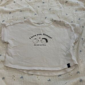 Tシャツ テータテート