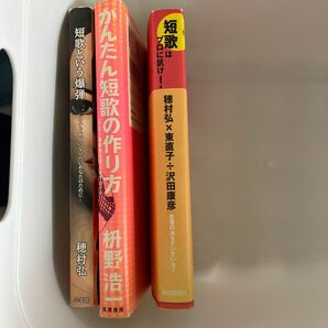 短歌入門書3冊セット 穂村弘/枡野浩一