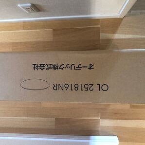 値下げ 新品オーデリック シーリングライト OL251816NR