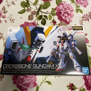 RG ガンプラ クロスボーンガンダムX1 未組立