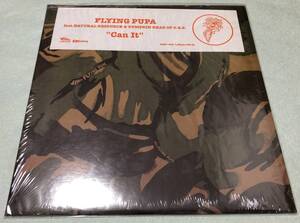 FLYING PUPA / CAN IT FT NATURAL RESOURCE & PUMPKIN HEAD OF O.B.S. / 国内盤